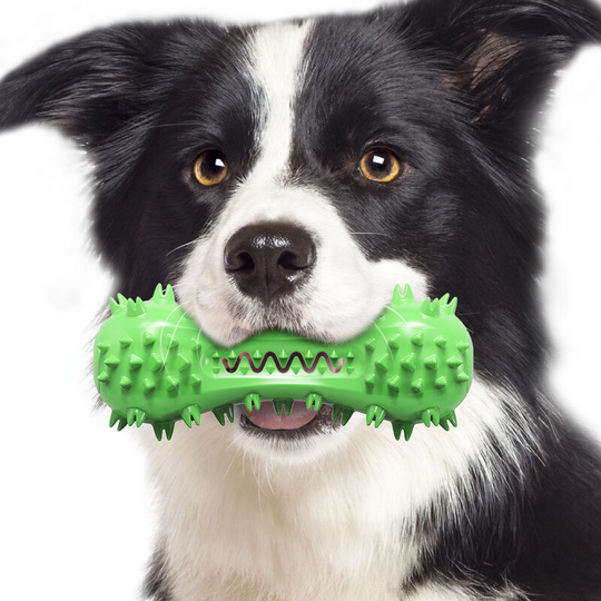 Dog Toothbrush, Dog Chew Toy, Bite Resistant Rubber Teeth Cleaning Wand for Small Medium Dogs (Green