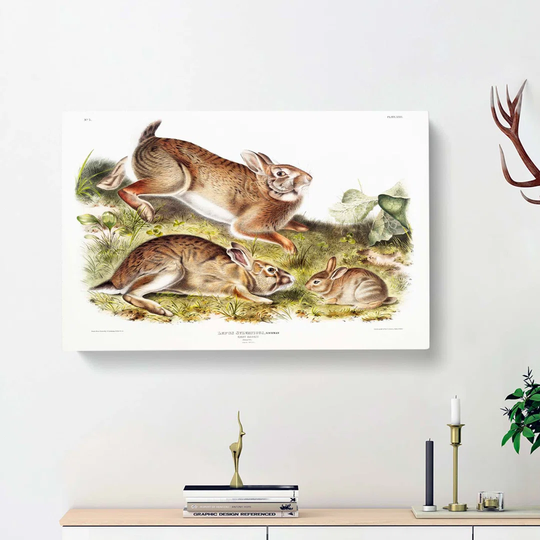 Grey Rabbits by J.W. Audubon - Wrapped Canvas Painting Print