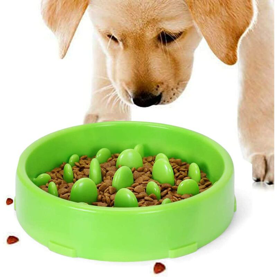 Slow Feeding Bowl for Dogs, Slow Feeding Non-Slip Design Fun Interactive Feeding Bowl Cats and Dogs, Promotes Healthy Eating and Slow Digestion(Green)