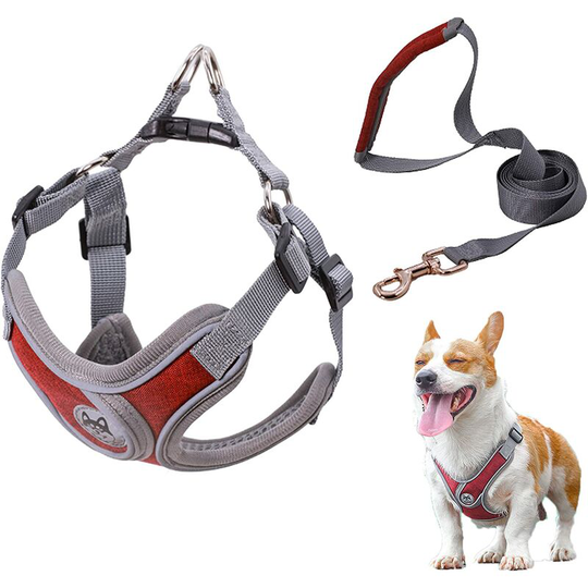 Harness Vest Dog Harness and Lead Adjustable Pet Reflective Vest Harness,Dog Walking Harness Vest with Padded,Soft,Comfortable and Breathable (Red-M)