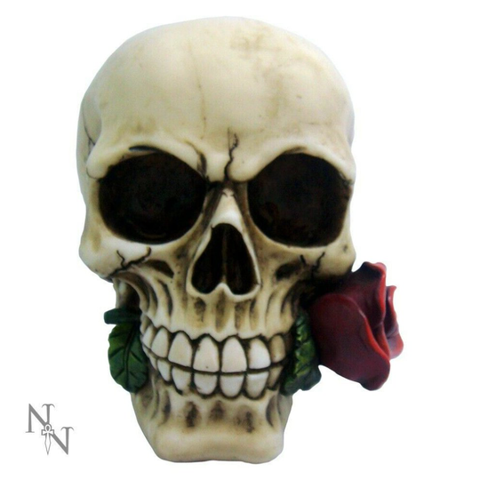 Nemesis Now Rose From The Dead Skull 15cm Ornament Skeleton Bones
