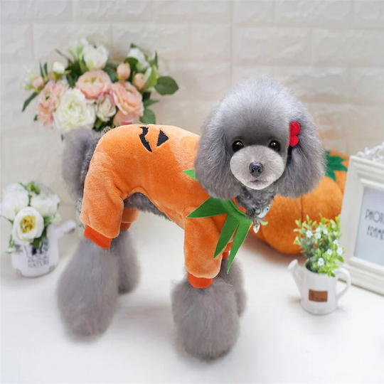 Dog clothes Halloween Cat Pumpkin Dog Costume Fleece Coat Jackets clothes Kitty Puppy Chihuahua Dress up party Halloween Christmas Easter Festival