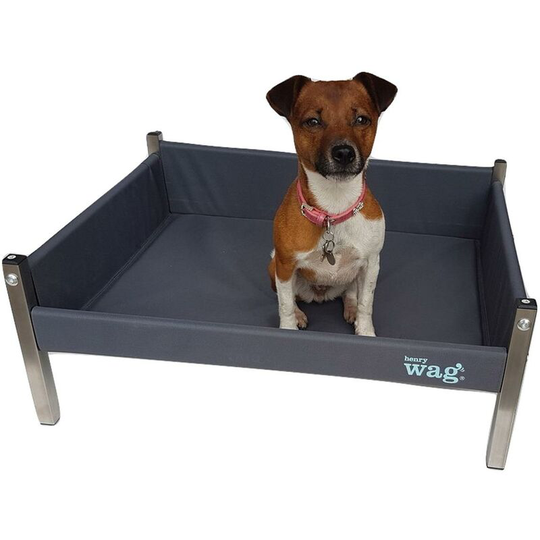 Elevated Dog Bed - Small - Henry Wag
