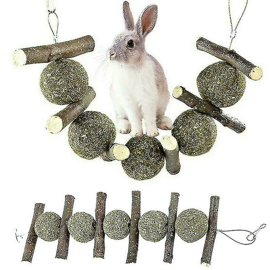 Thsidne Rabbit Teeth Grinding Toys Wood Tree Hanging Xiersen Cookie For Pet Small Animal