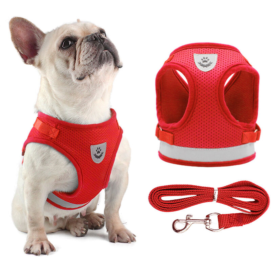 Dog Harness and Leash Set Reflective Adjustable Mesh Vest for Small Dogs Puppy Cats - Red,Medium