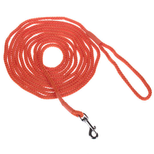 Heim Long Dog Training Lead - Orange - 20m