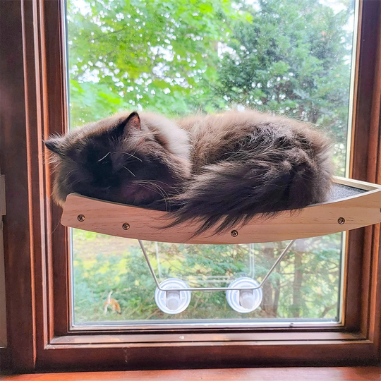 Bedfo Rectangular Cat Bed