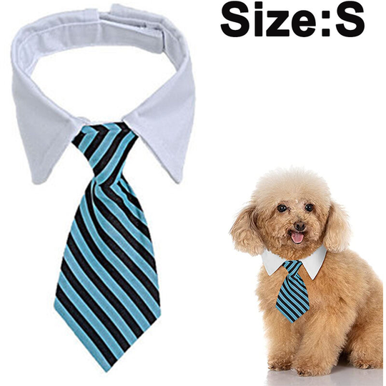 1 Pieces Adjustable Pets Dog Cat Bow Tie Pet Costume Necktie Collar for Small Dogs Puppy Grooming Accessories, black and blue, s