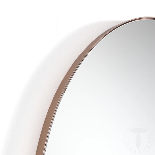 Aalim Oval Metal Framed Wall Mounted Accent Mirror in Brown