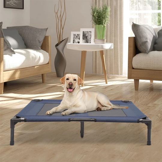 Dog Cat Puppy Pet Elevated Raised Cot Bed Portable Camping Basket Blue (Large)