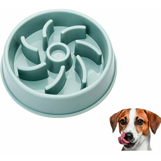 Anti Glutton Dog Cat Bowl, Slow Feeding Bowl for Dogs, Non-Slip Feeding Bowl