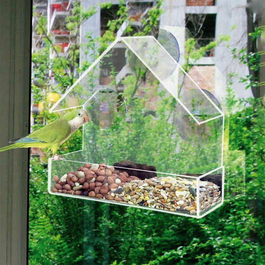 Hanging Glass Window Clear Viewing Bird Feeding Table Seed Peanut Feeder Station