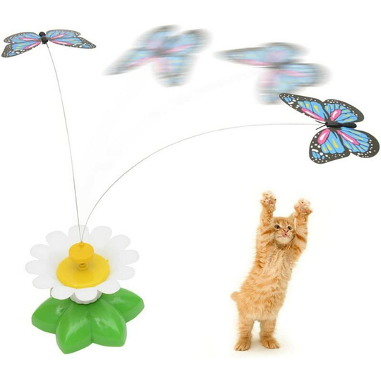 2 pcs Electric Interactive Cat Game - Randomly Rotating Butterflies - Rhafayre