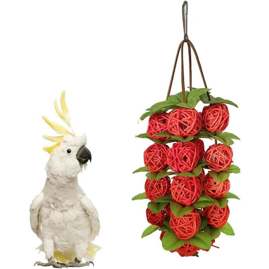 Betterlifegb - Pet Bird Rattan Balls Toy, Rattan Balls Perréquate Chewing Toys, Toys diy Accessories for Bird Parrot Macaw Gray Gray Cage Accessories