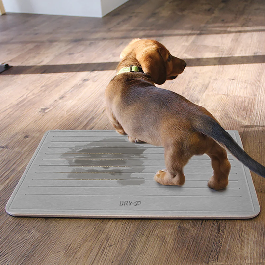 Willa Training Dogs Mat in Grey