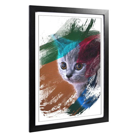 'British Blue Shorthair Kitten Cat' Framed Art Print