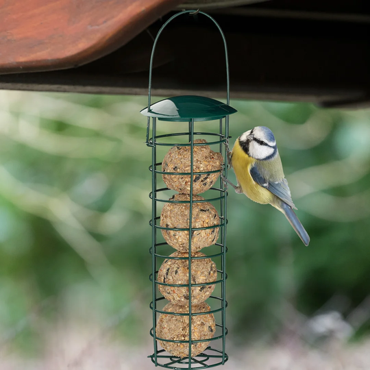 Hallum Suet Bird Feeder