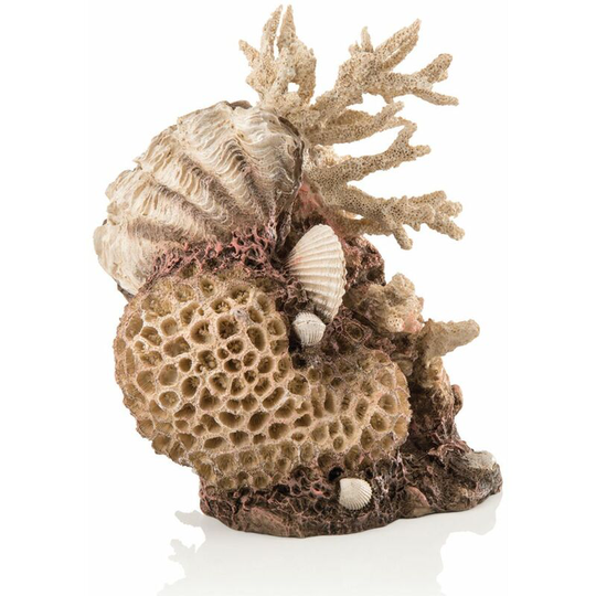 Biorb - 48360 Coral Shell Ornament Natural
