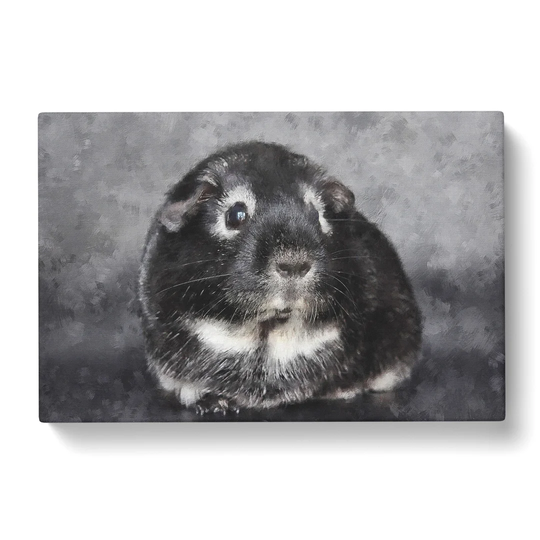Guinea Pig - Wrapped Canvas Graphic Art