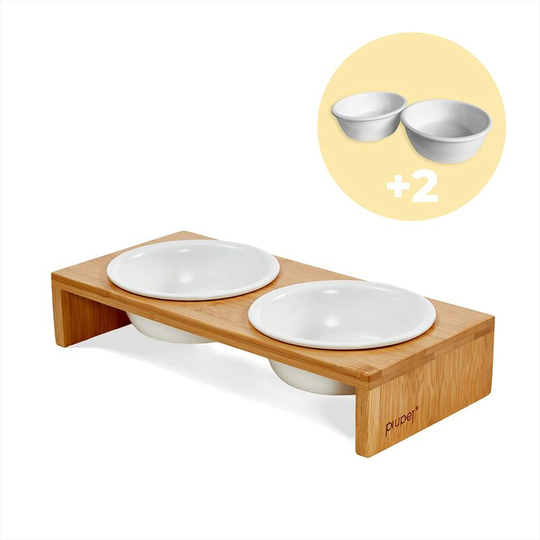 Cat Bowl - Bowl for Cats and Small Dogs - Cat Bowl with Stylish Bamboo Frame - Elevated Feeding Station for Cats (2 Bowls)