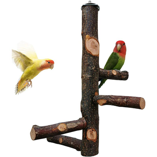 Briday - Bird Perch Natural Fruit Wood Stand Toy Branch Paw Grinding Standing Climbing Toy Cage Accessories for Small and Medium