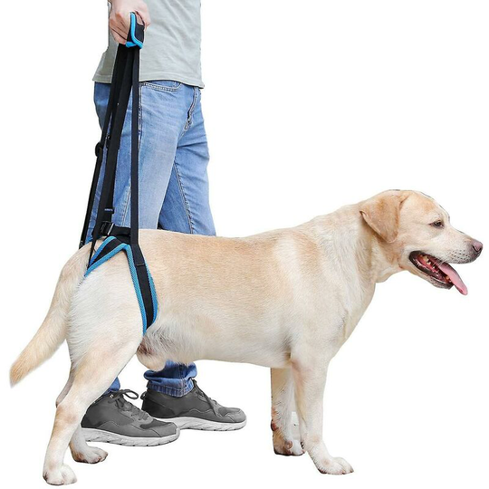 Dog Lifting Harness Portable lifting harness for hind legs, elderly, injured, sick and disabled dogs,M