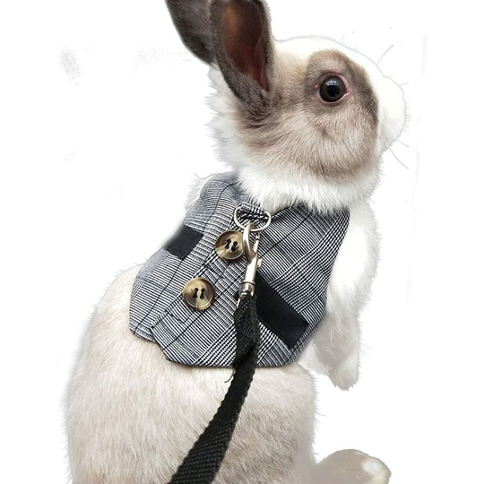 Heguyey - Adjustable Rabbit Costume Harness Small Animal Harness and Leash Small Animal Rabbit Hamster Cat Small Size