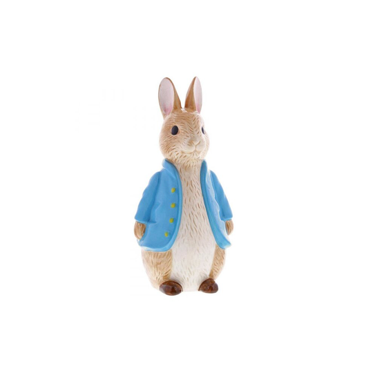 Peter Rabbit Sculpted Money Bank Box Ceramic New Baby / Christening