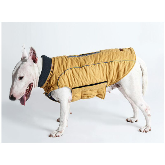 S pet clothes jacket vest clothes warm clothes autumn and winter models dog jacket hot vest s