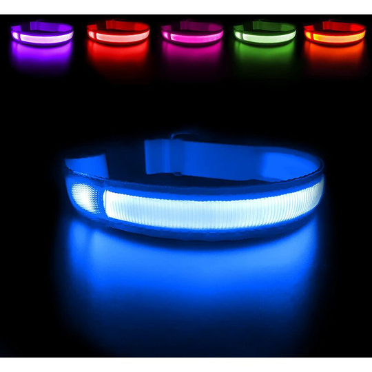 Lighted Rechargeable Waterproof Dog Collar, Flashing LED Safety Collar with Adjustable Belt for Small/Medium/Large Dogs(Blue, M)