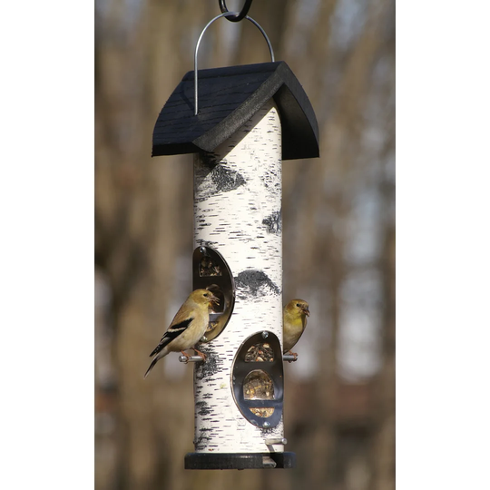 Lilah Tube Bird Feeder
