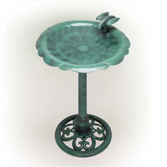 Bird on Side Bird Bath