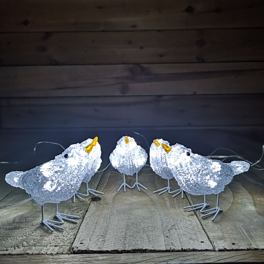 Snow Time Christmas Acrylic Birds 5x With 40 Ice White LEDs