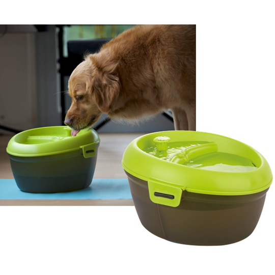 Dog Drinking Fountain, Fresh Water Drinking Fountain With Dental Care 6L