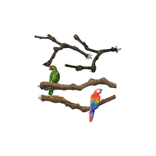 4 PCS Parrot Perch, Wooden Bird Toys, Parrot Hanging Toy, Wood Feet Perches, Swings, Ladders, Perched