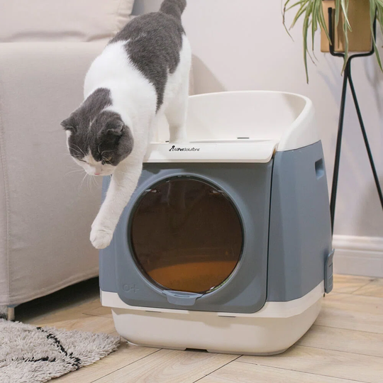 Dual Entry Cat Litter Box Enclosure