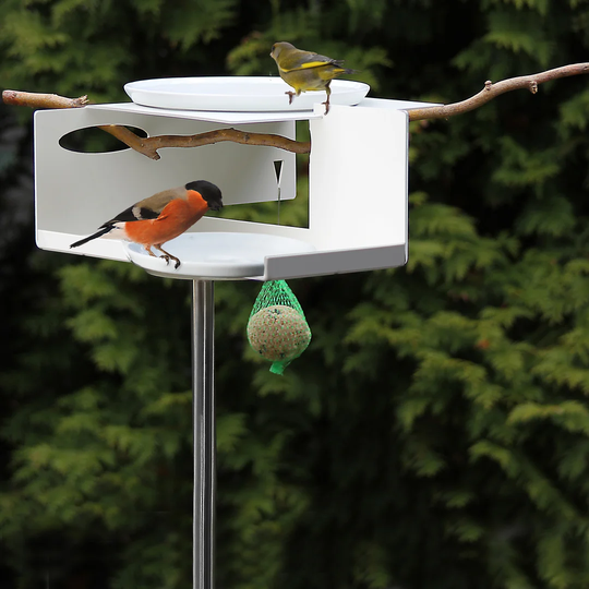 Bird House