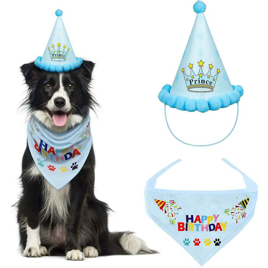 Dog birthday bandana, triangular bandana with party hat