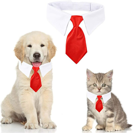 Cat Dog Tie Adjustable Cat Tie Pet Tie for Small Dogs Puppy Accessories (L, Pure-Red)