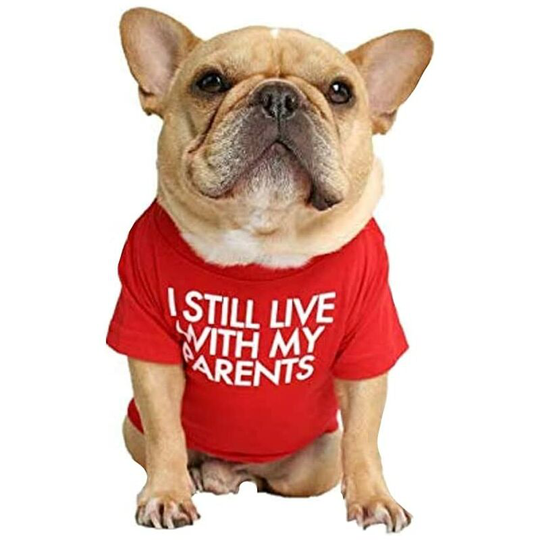Osqi - Dog T-Shirt with Phrase: i Still Live With My Parents (Red, l)