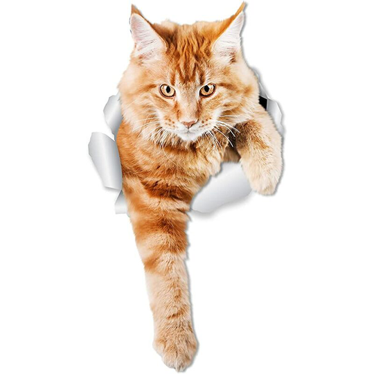 Ilovemilan - Cat Wall Decals - 2 Pack - Orange Cat Toilet Sticker - 3D Cat Car Window and Bumper Sticker - Orange Cat Lover Gifts