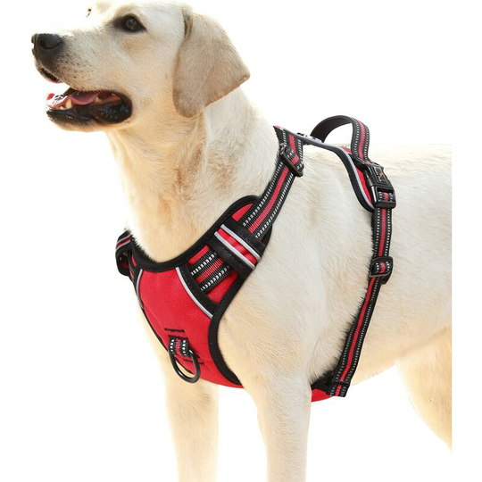 Perle Rare - Dog Harness, Anti-Pull Dog Harness, Reflective, Handle with Control Padded Handle, 2 Metal Rings, Harness for Small, Medium and Large