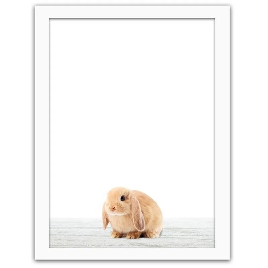 Rabbit - Picture Frame Photograph Print on Paper