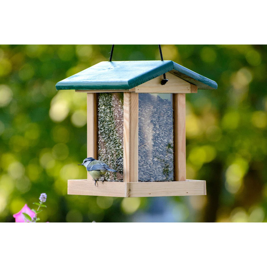Bird Feeder