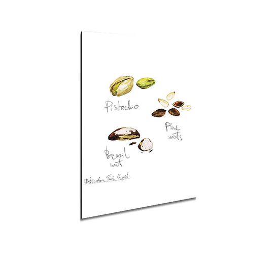 Nut Selection 2 - Unframed Graphic Art on Metal