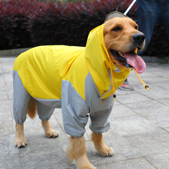 Dog raincoat, dog clothes, all-inclusive golden retriever four-legged poncho (yellow, l)