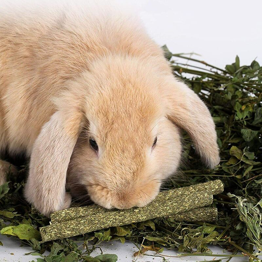 FVO - Natural Ball and Stick Chew Toys for Rabbit, Hamster, Parrot, Chinchilla, Guinea Pig and Gerbil Made from Grass and Rose