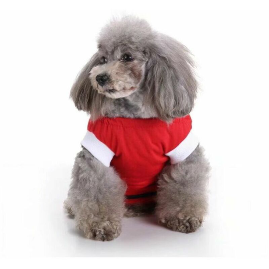 Morejieka - Pet clothes, dog clothes, sterilization clothing, dog rehabilitation clothing, pet-injury protection clothing, pet supplies (red, l)