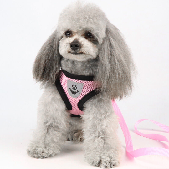 Neck Buckle Dog Harness, Reflective Breathable Small Dog Harness and Leash, Puppy Vest Harness for Small Medium Dogs with Leash Pink