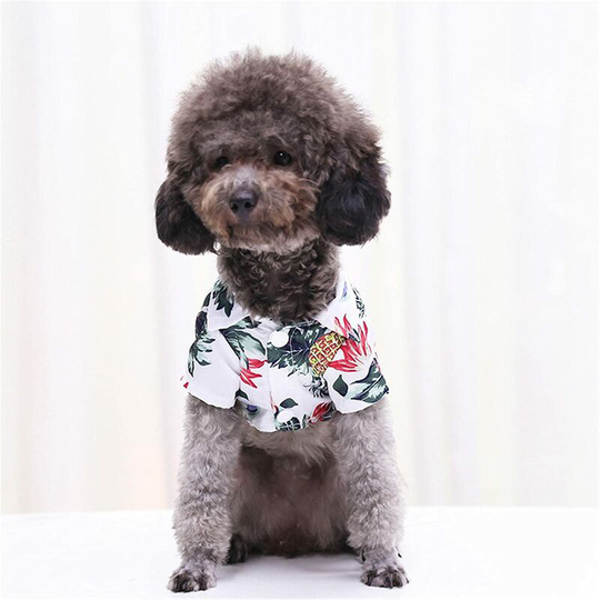 Perle Raregb - Cat Dog Shirts Summer Stylish Hawaiian T-Shirts Soft, Comfortable And Breathable Print Pet Clothes for Small Large Dogs, Cats (white)